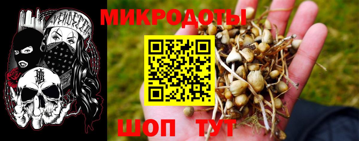 Галлюциногенные грибы Psilocybine cubensis  Галлюциногенные грибы GOLDEN TEACHER  Вход с VPN  Дзержинск 